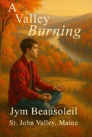 A Valley Burning (St. John Valley) B0H9CMTYQB Book Cover