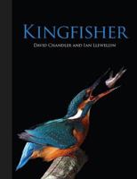 Kingfisher 184773524X Book Cover