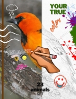 Unleash your true color B094T2Z1PM Book Cover