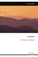 La Prison: Au Propre et au Figuré (French Edition) 999933847X Book Cover
