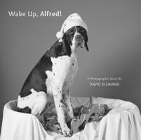 Wake Up, Alfred! 1910646016 Book Cover