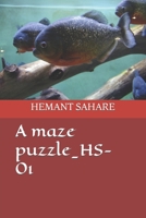 A maze puzzle_HS-01 B0BW2K99SS Book Cover