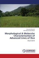 Morphological & Molecular Characterization of Advanced Lines of Rice 3659319988 Book Cover