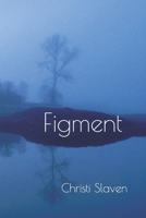 Figment B0BBQB1V8G Book Cover