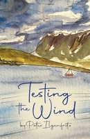 Testing the Wind 1603812784 Book Cover