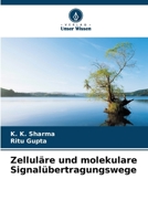 Zelluläre und molekulare Signalübertragungswege (German Edition) 6205200082 Book Cover