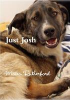 Just Josh 1326910787 Book Cover