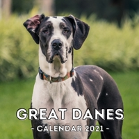 Great Danes: 2021 Wall Calendar, Cute Gift Idea For Great Dane Lovers Or Owners Men And Women B08QWVLC5C Book Cover