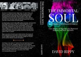 The Immortal Soul; the Journey to Enlightenment: Case Studies of Hypnotically Regressed Subjects and their Afterlives 0692150641 Book Cover