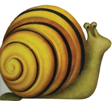 Little Snail 0764167154 Book Cover