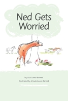 Ned Gets Worried B08PQQR854 Book Cover