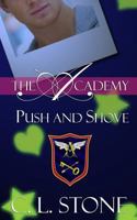 Push and Shove 149936590X Book Cover