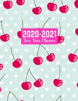 2020-2021 Two Year Planner: Handy 24-Month Planner & Calendar Large 8.5 x 11 (Jan 2020 - Dec 2021) Daily Weekly and Monthly Schedule Art Cover 00023190 1712707795 Book Cover