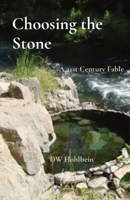 Choosing the Stone: A 21st Century Fable 0578920743 Book Cover