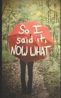 So I said it, NOW WHAT B0GHFBPFHP Book Cover