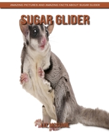 Sugar Glider: Amazing Pictures and Amazing Facts about Sugar Glider B084DKM2B1 Book Cover