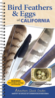 Bird Feathers & Eggs of California: Identify 40 Species of Common Backyard Birds 1647556635 Book Cover
