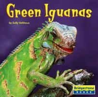 Green Iguanas (World of Reptiles) 0736843299 Book Cover