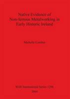 Native Evidence of Non-ferrous Metalworking in Early Historic Ireland 1841713805 Book Cover