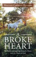 A Broke Heart: Revelation Through the Eyes of a Horse Into the Heart of God 1490813764 Book Cover