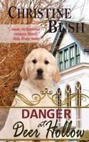 Danger at Deer Hollow 1467956929 Book Cover