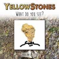 Yellow Stones 1591522145 Book Cover