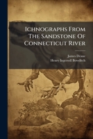 Ichnographs From The Sandstone Of Connecticut River 1248443101 Book Cover