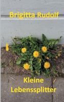 Kleine Lebenssplitter 3746089360 Book Cover