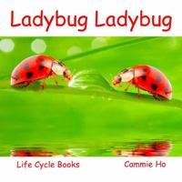 Ladybug Ladybug 1943241023 Book Cover