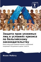 Защита прав уязвимых лиц 6206616924 Book Cover