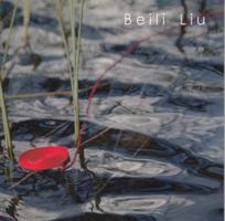 Beili Liu : Mining the Material 0982274408 Book Cover