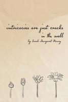 intricacies are just cracks in the wall 0578535564 Book Cover