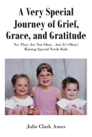 A Very Special Journey of Grief, Grace, and Gratitude: No, They Are Not Okay...but It's Okay! Raising Special Needs Kids 1645316955 Book Cover