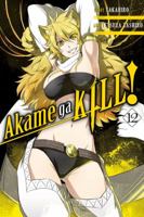 Akame ga KILL!, Vol. 12 0316473324 Book Cover