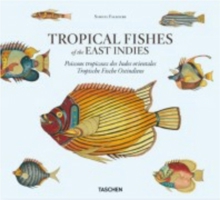Tropical Fishes of the East Indies 3836505193 Book Cover