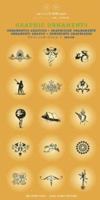 Graphic Ornaments (Agile Rabbit Editions) 9057680165 Book Cover