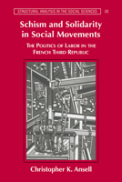 Schism and Solidarity in Social Movements: The Politics of Labor in the French Third Republic 0521033969 Book Cover