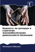 Бедность по доходам и стр 6205694425 Book Cover