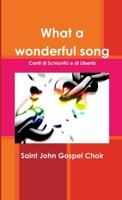 What a wonderful song 129135736X Book Cover