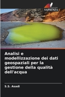 Analisi e modellizzazione dei dati geospaziali per la gestione della qualità dell'acqua (Italian Edition) 6209660924 Book Cover