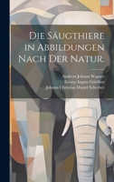Die S�ugthiere in Abbildungen Nach Der Natur. 1021158259 Book Cover
