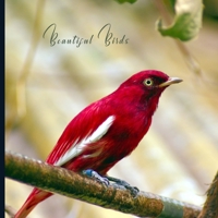 Beautiful Birds: 2021 Monthly Photo Calendar | January 2021 - December 2021 | Monthly Calendar with U.S./UK/ Canadian/Christian/Jewish/Muslim Holidays | Exotic Birds Photo Calendar B08JB5WQJL Book Cover