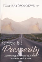Pathways to Prosperity: Harnessing the Power of Mindset, Attitude and Action B0CCCSLFKL Book Cover