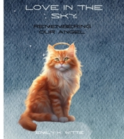 Love In the Sky: Remembering Our Angel B0CSHY4JJQ Book Cover
