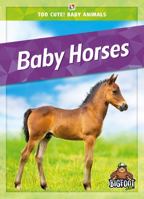 Baby Horses 1645197050 Book Cover