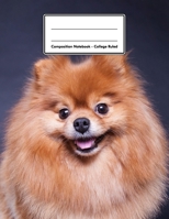 Composition Notebook - College Ruled: Pomeranian 109 pages 8.5x11 White Blank Lined Exercise Book Engineering Paper Gift For Kids Teenager Adult Teacher Student Journal Diary Dog Lover 1709975873 Book Cover