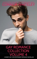 Gay Romance Collection Volume 4: 3 Sweet Gay Contemporary Romance Novellas (The English Gay Contemporary Romance Books) 191718168X Book Cover