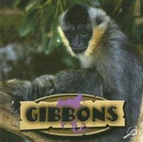 Gibbons (Amazing Apes) 1600445667 Book Cover