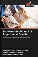 Struttura dei bilanci di Argentina e Brasile (Italian Edition) 6208576318 Book Cover