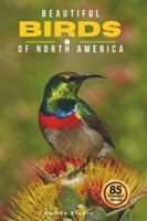 Beautiful Birds of North America: A Calming Coffee Table Photo Collection for Seniors with Dementia, Alzheimer’s, Memory Care, and All Bird Lovers B0G439DX1H Book Cover